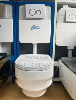Plain White Concealed Toilet