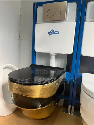 Black and Gold Concealed Toilet