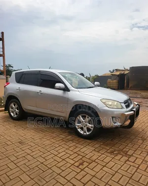 Toyota RAV4 2010 Gray