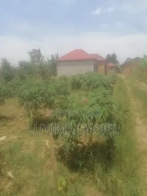 Plot 53ft by 60ft at Gayaza Namayina