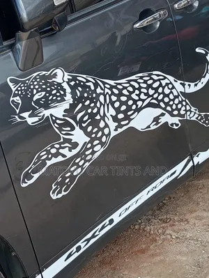 Denis Car Tints and Stickers