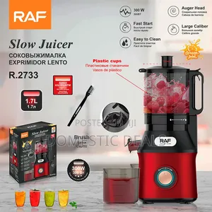 RAF Cold Press Slow Juicer