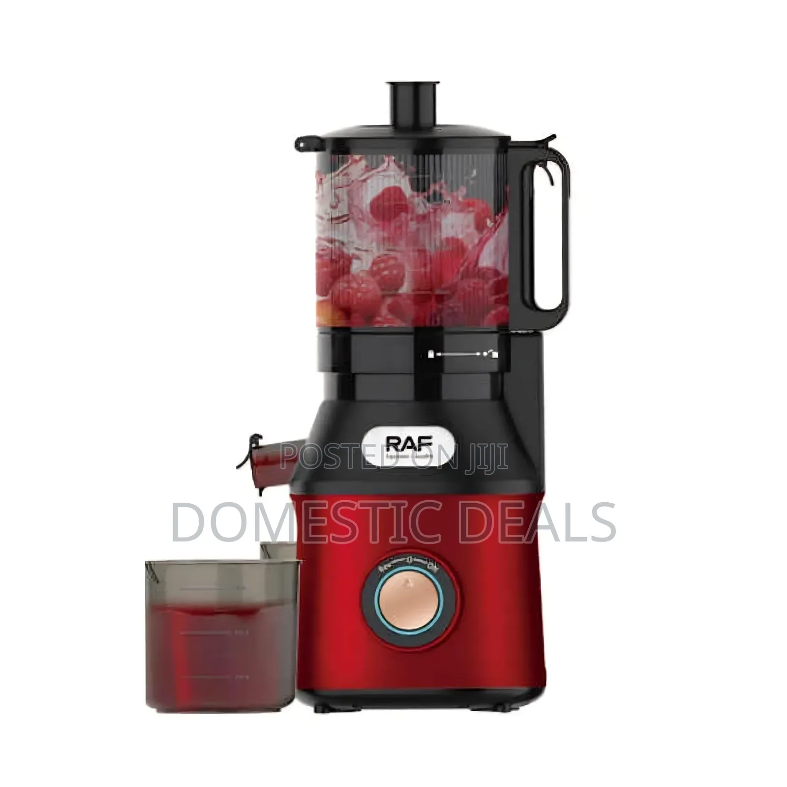 RAF Cold Press Slow Juicer