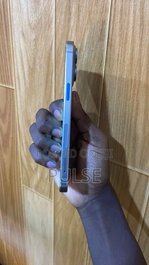 Apple iPhone 15 Pro Max 256 GB Silver
