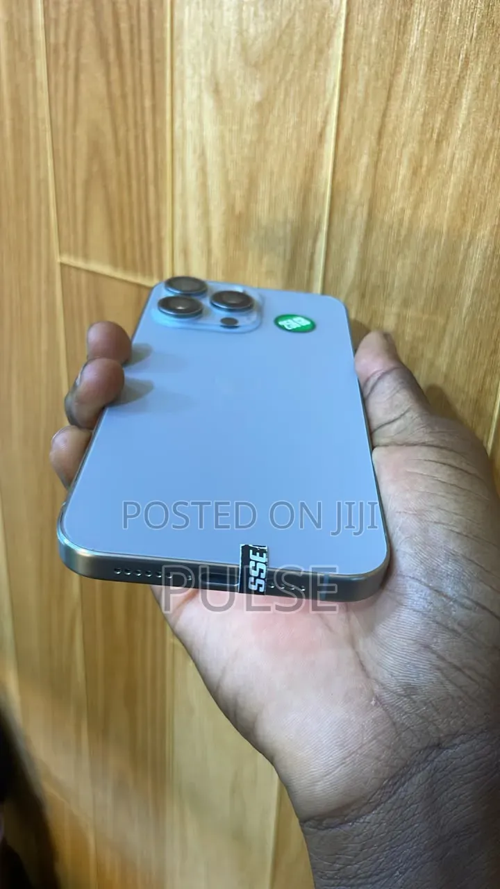 Apple iPhone 15 Pro Max 256 GB Silver