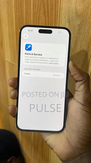 Apple iPhone 15 Pro Max 256 GB Silver