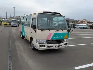 Toyota Coaster 2010 Beige