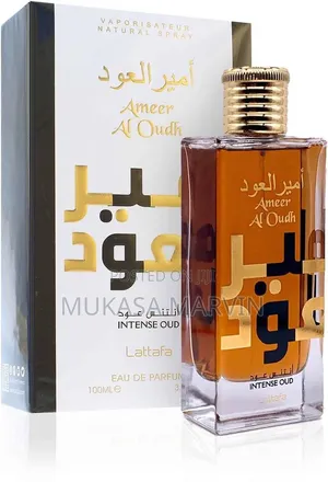 Ameer Al Oudh