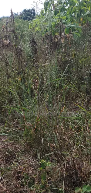 Land for Sell