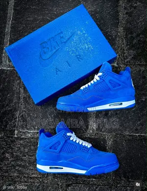 Bike Air Jordan 4 Blue