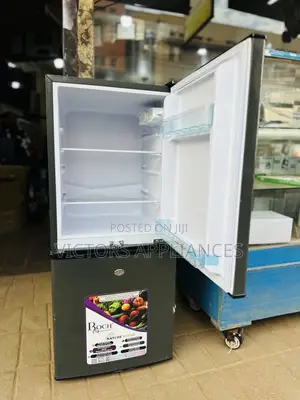 ROCH 145L Double Refrigerator With Bottom Freezer