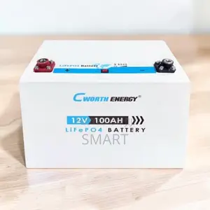 Cworth 100Ah Lithium Battery – Long Life Solar Power Storage