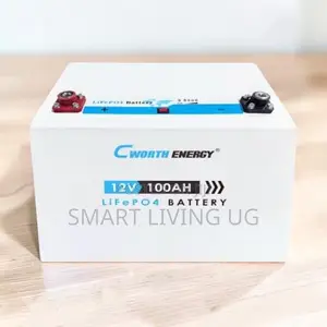 Cworth 100Ah Lithium Battery – Long Life Solar Power Storage