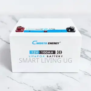 100Ah Cworth LiFePO4 Battery – Fast Charging Deep Cycle