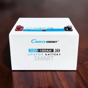 Cworth 100Ah Lithium Solar Battery – Reliable Backup Power