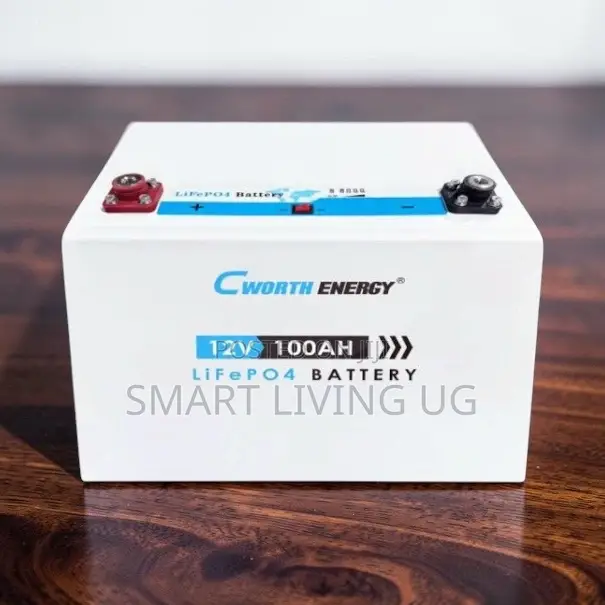 Cworth 100Ah Lithium Solar Battery – Reliable Backup Power