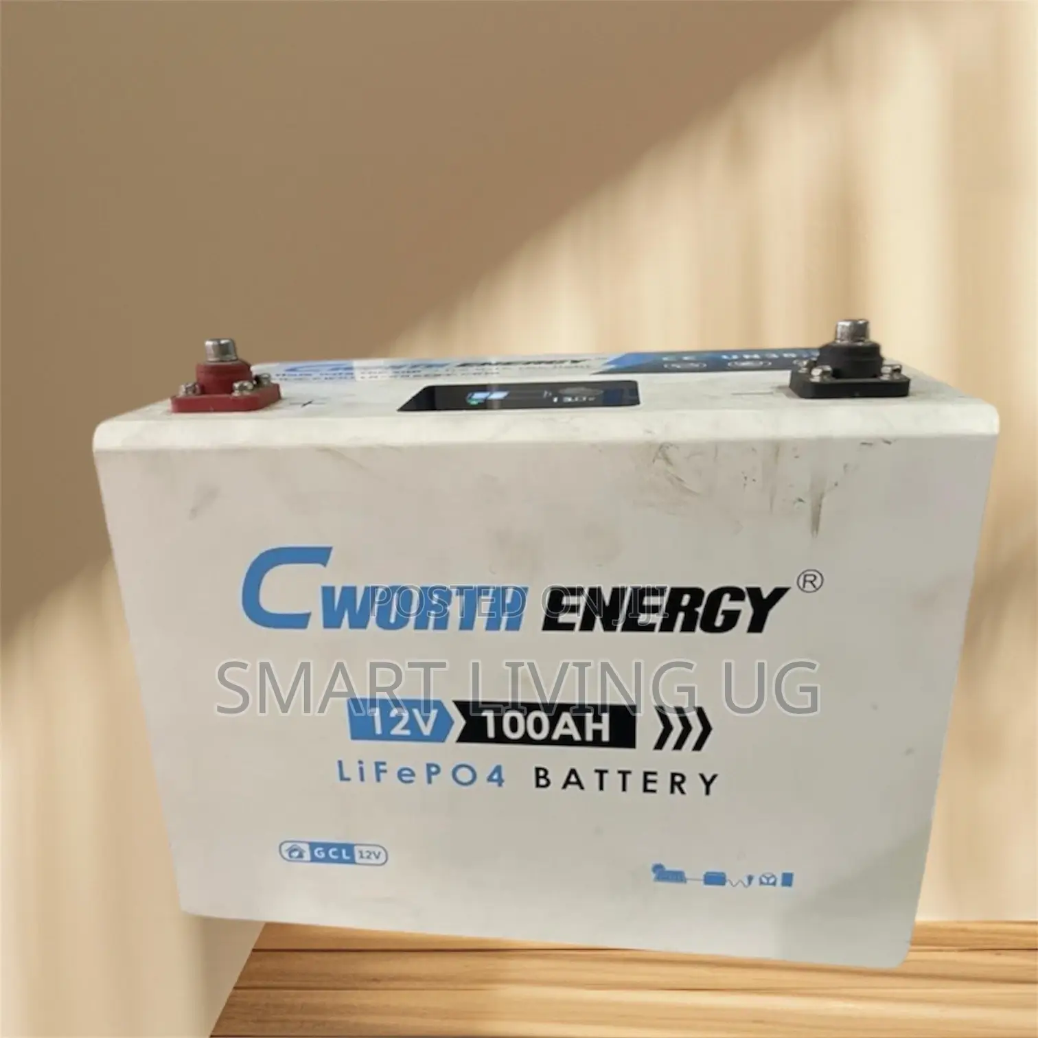 Original Cworth 100Ah Lithium Battery for Solar Systems