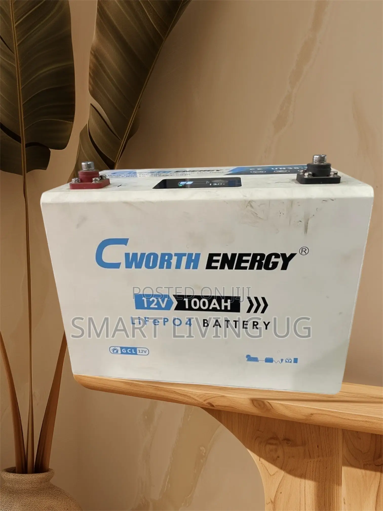 Cworth 100Ah Rechargeable Lithium Battery – High Performance