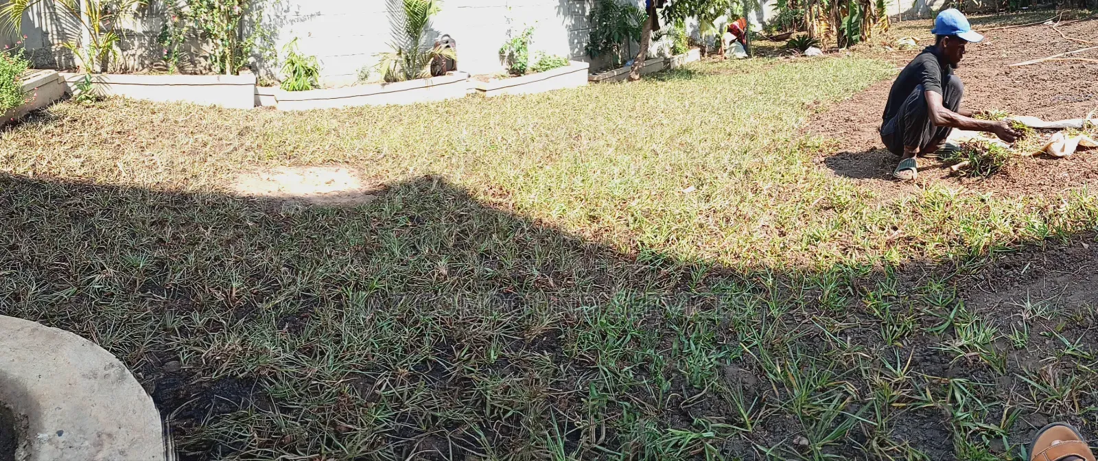 Grass Laying