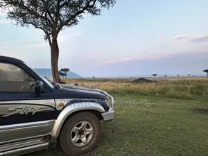 Toyota Hilux Surf 1996 Blue