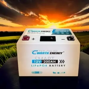 Genuine Cworth 200Ah Lithium Battery – Heavy Duty Power Solution