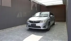 Toyota Corolla Fielder 2013 Silver
