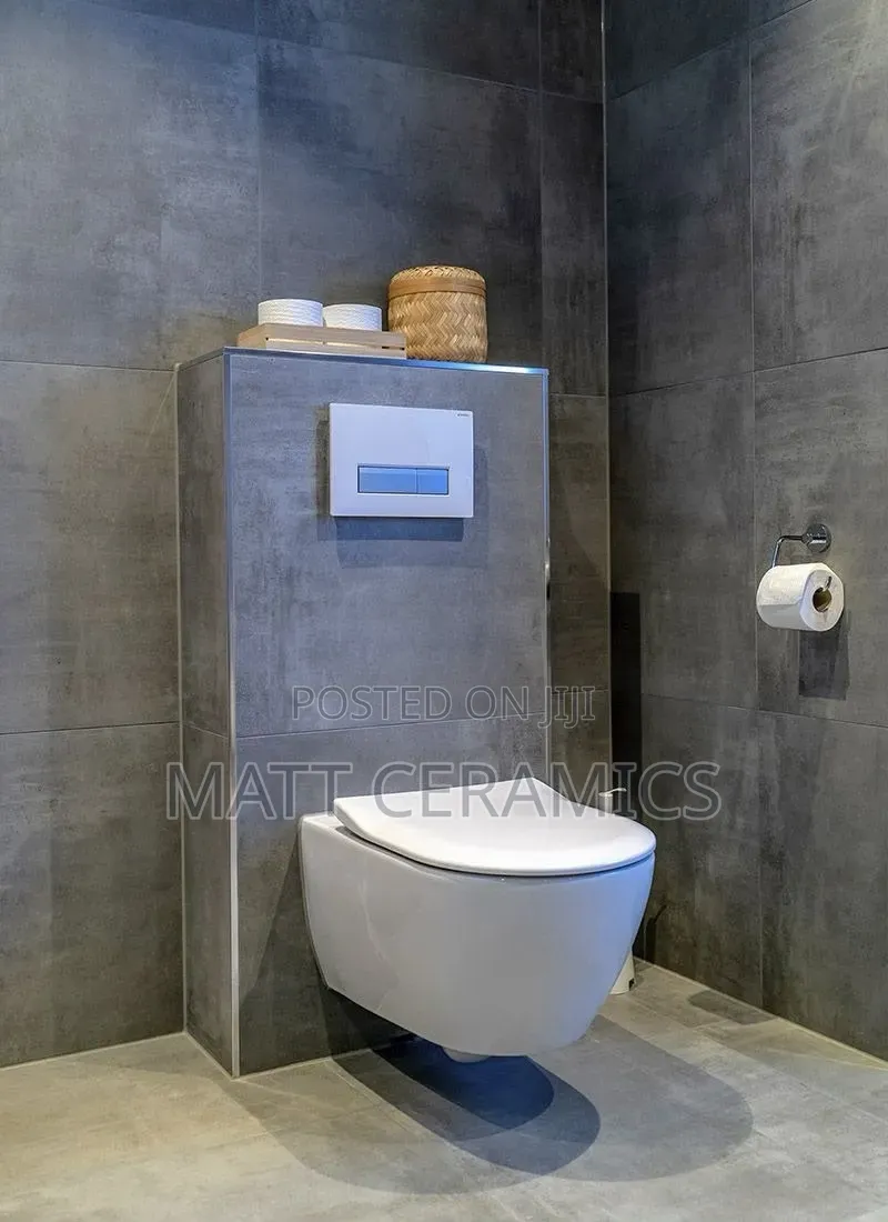 White Concealed Toilets