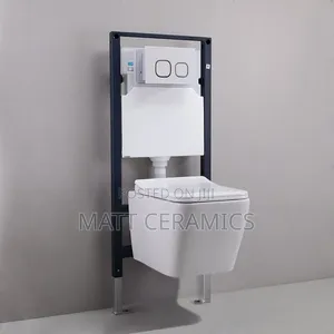 White Concealed Toilets