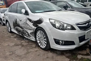 Denis Car Body Stickers