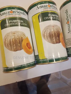 Pumpkin Seeds