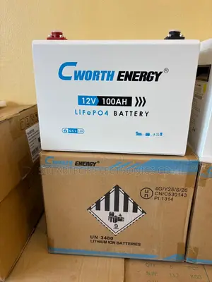 Cworth 12V 100Ah Rechargeable Lithium Battery With Smart BMS