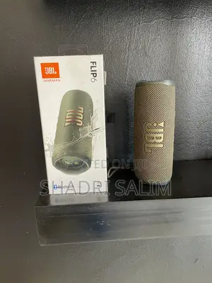 JBL Flip 6