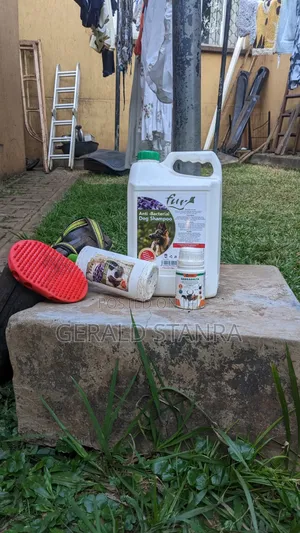 Dog Grooming