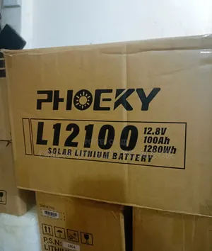 100ah /1280kwh(12.8volts) Lithium Iron Phosphate Battery.