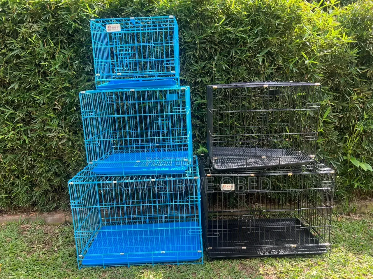 Parrot Cages