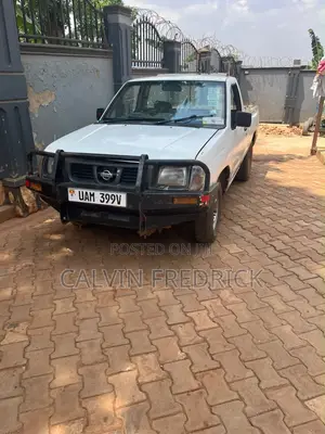 Nissan Hardbody 2003 White