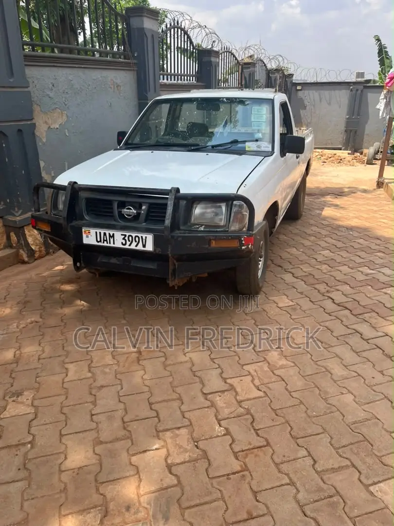 Nissan Hardbody 2003 White