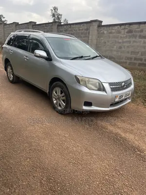 Toyota Corolla Fielder 2008 Silver