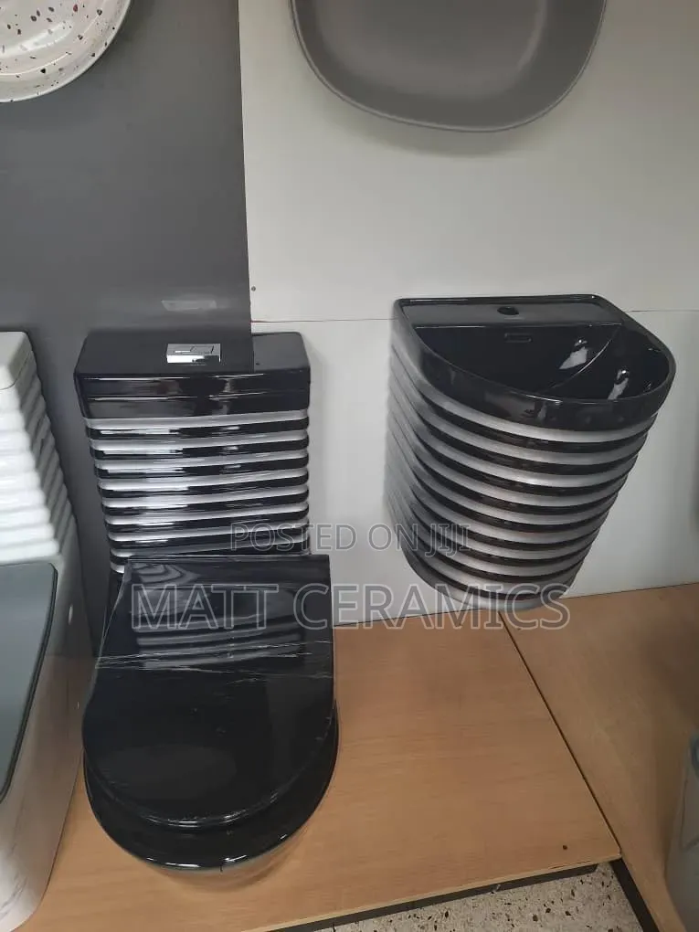 Black and Silver Toilet