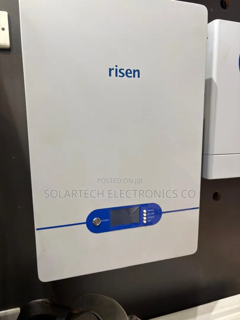 Genuine Risen 5kWh Lithium Battery With Smart BMS