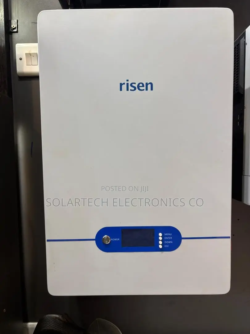 High Performance Risen 51.2V 100Ah Solar Battery 6000 Cycles