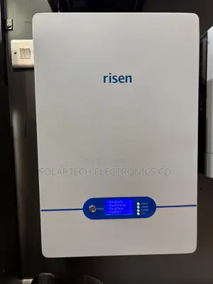 High Performance Risen 51.2V 100Ah Solar Battery 6000 Cycles