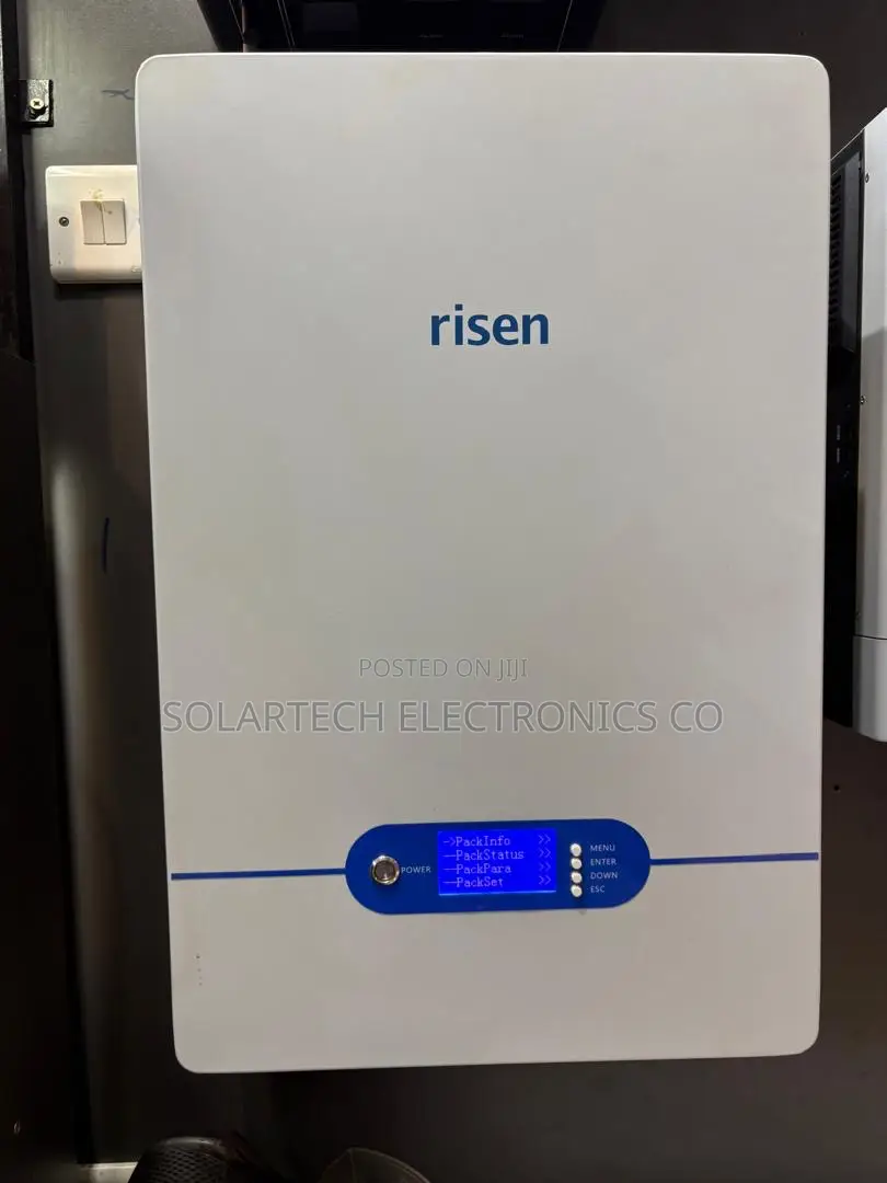 High Performance Risen 51.2V 100Ah Solar Battery 6000 Cycles
