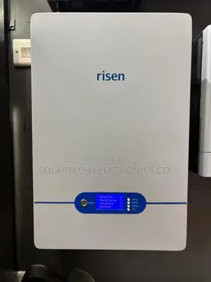 Risen 5.12kWh Rechargeable Lithium Battery for Solar Power Electric