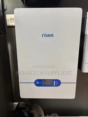 Authentic Risen LiFePO4 100Ah Battery 5 Year Warranty