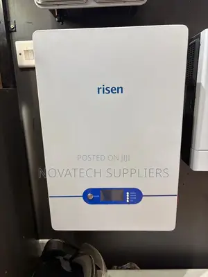 Authentic Risen LiFePO4 100Ah Battery 5 Year Warranty