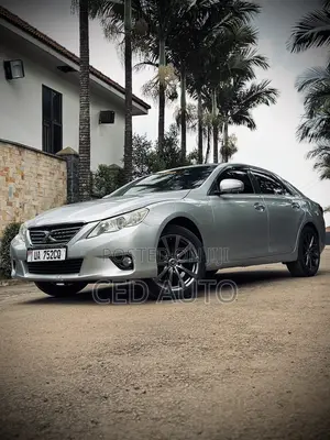 Toyota Mark X 2010 Silver