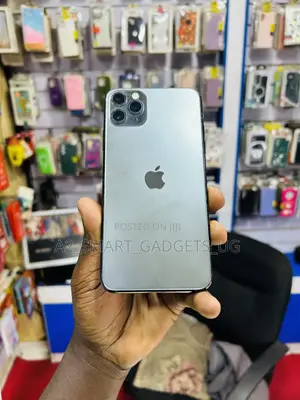 Apple iPhone 11 Pro Max 64 GB Gray