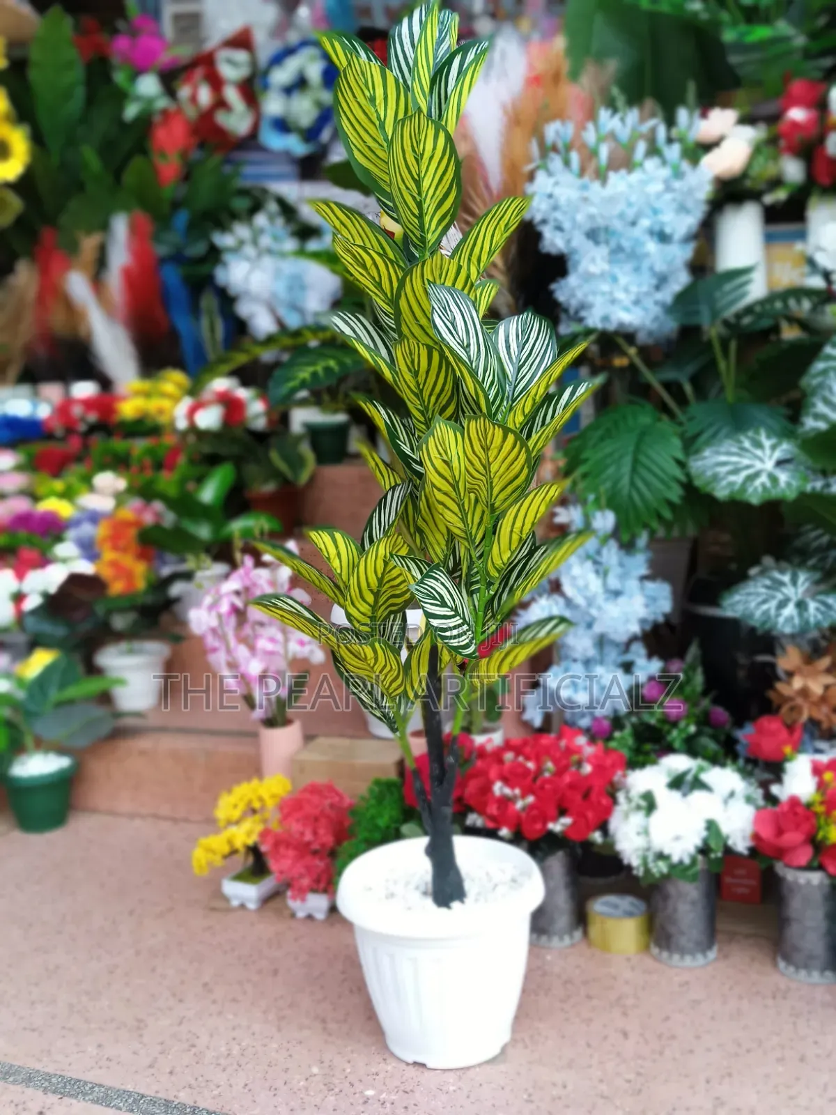 Corner, Office, Reception Plant