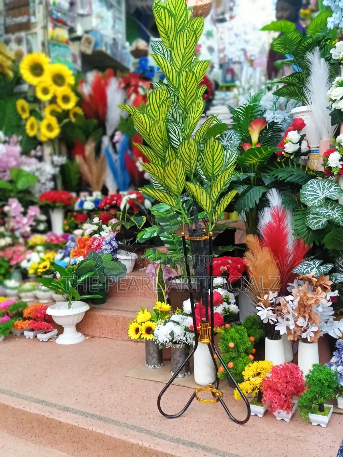 Corner, Office, Reception Plant